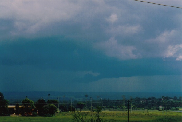 contributions received : Western Sydney, NSW<BR>Photo by Mario Orazem   28 February 2001