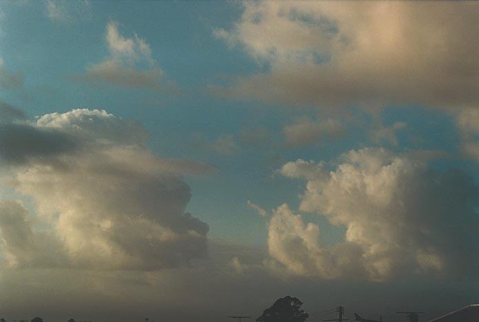 cumulus congestus : Schofields, NSW   14 March 2001