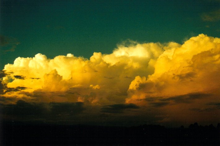 thunderstorm cumulonimbus_calvus : McLeans Ridges, NSW   26 March 2001