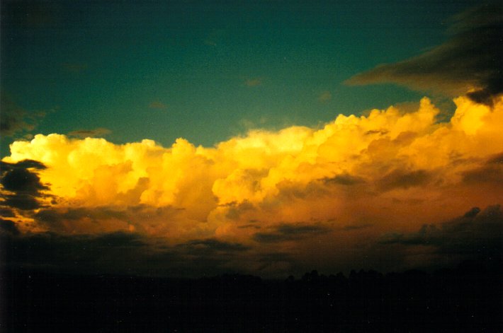 thunderstorm cumulonimbus_calvus : McLeans Ridges, NSW   26 March 2001