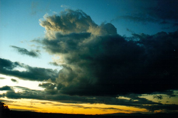 cumulus congestus : McLeans Ridges, NSW   26 March 2001