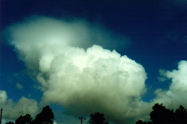 virga virga_pictures : McLeans Ridges, NSW   4 April 2001