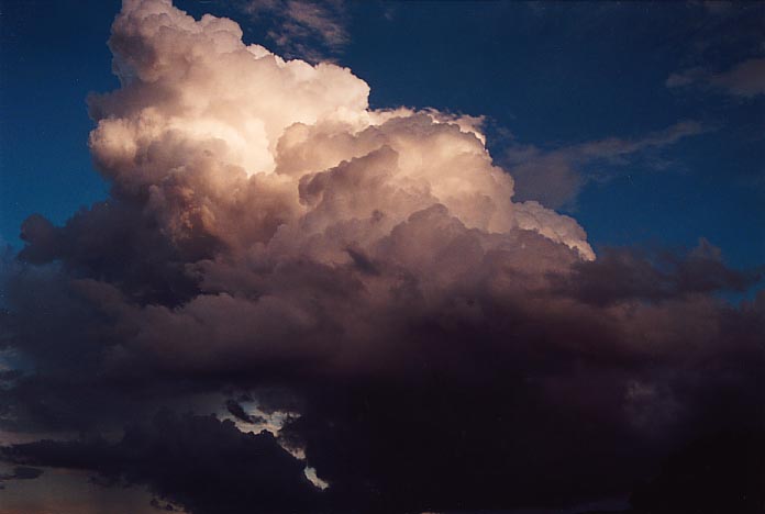 thunderstorm cumulonimbus_calvus : Gloucester, NSW   27 April 2001