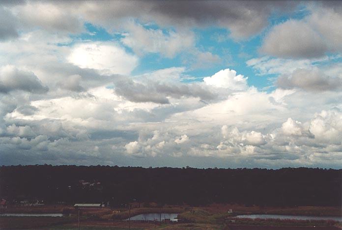 thunderstorm cumulonimbus_calvus : Schofields, NSW   1 May 2001