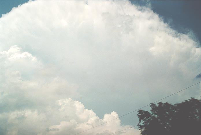 cumulonimbus supercell_thunderstorm : N of Konowa, Oklahoma, USA   20 May 2001