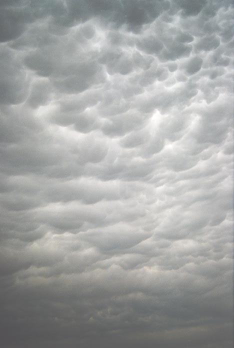 mammatus mammatus_cloud : W of Woodward, Oklahoma, USA   27 May 2001