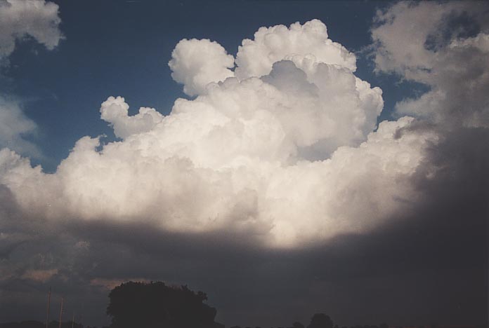 thunderstorm cumulonimbus_calvus : S of Harper, Kansas, USA   3 June 2001