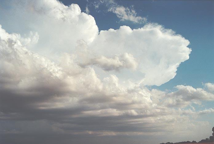 anvil thunderstorm_anvils : Harper, Kansas, USA   4 June 2001