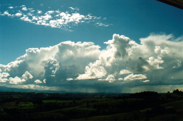 cumulus congestus : McLeans Ridges, NSW   3 July 2001