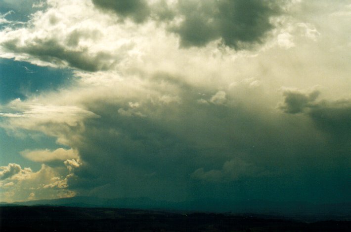 thunderstorm cumulonimbus_calvus : McLeans Ridges, NSW   6 July 2001