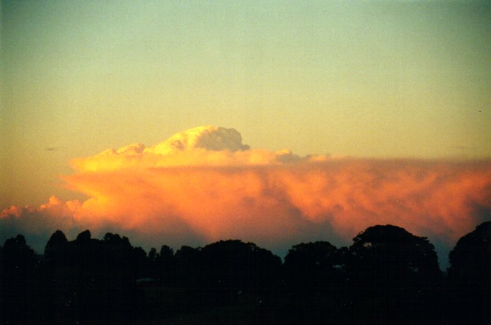 thunderstorm cumulonimbus_incus : McLeans Ridges, NSW   6 July 2001