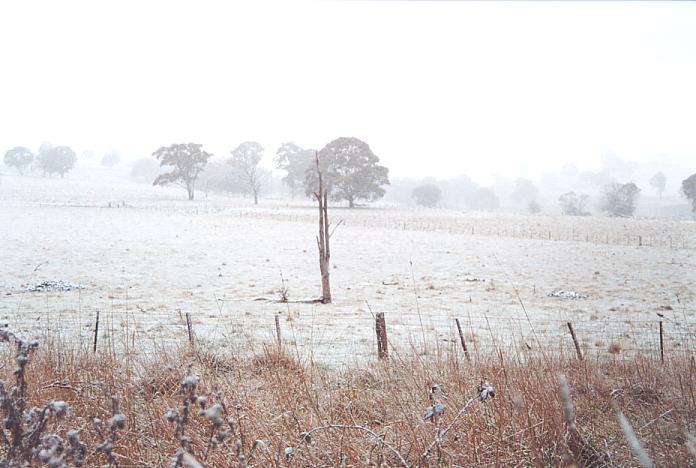 snow snow_pictures : Ben Lomond, NSW   8 July 2001