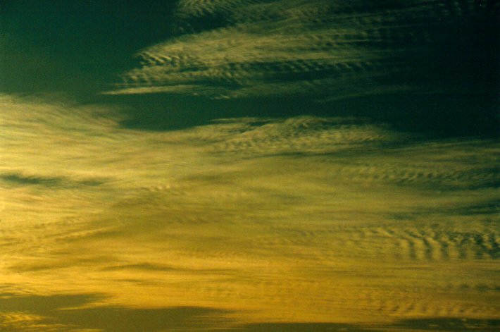 altocumulus undulatus : McLeans Ridges, NSW   24 July 2001