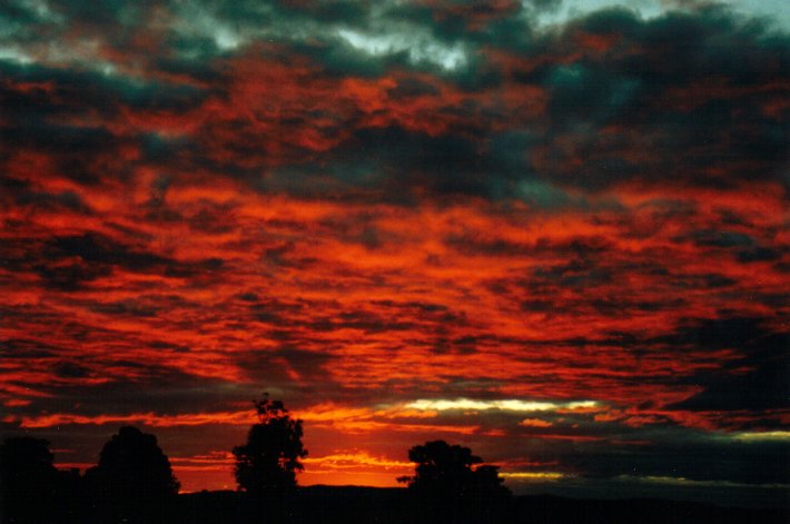 stratocumulus stratocumulus_cloud : McLeans Ridges, NSW   29 July 2001