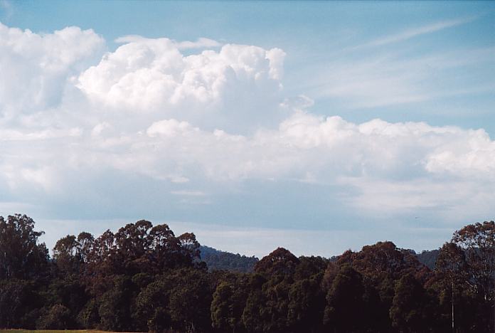 cumulus mediocris : Booral, NSW   26 August 2001