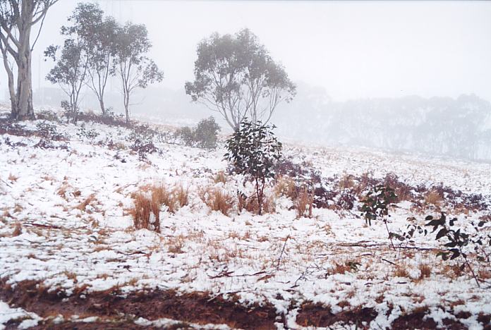 snow snow_pictures : Mt Lambie, NSW   27 August 2001