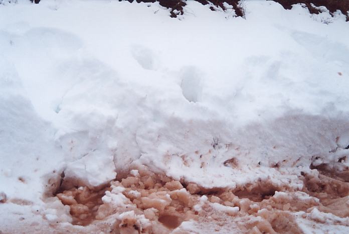 snow snow_pictures : Mt Lambie, NSW   27 August 2001