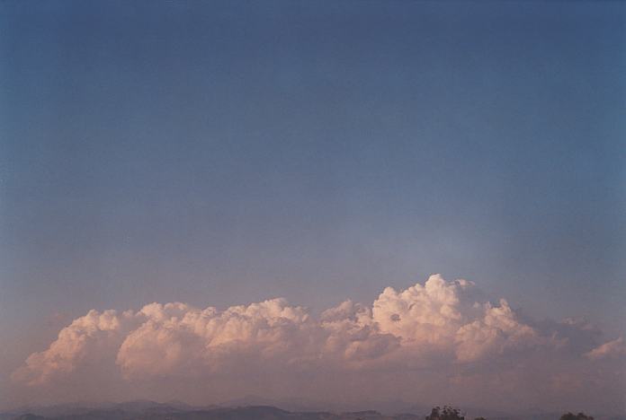 contributions received : near Jerrys Plains, NSW<BR>Photo by Geoff Thurtell   1 September 2001