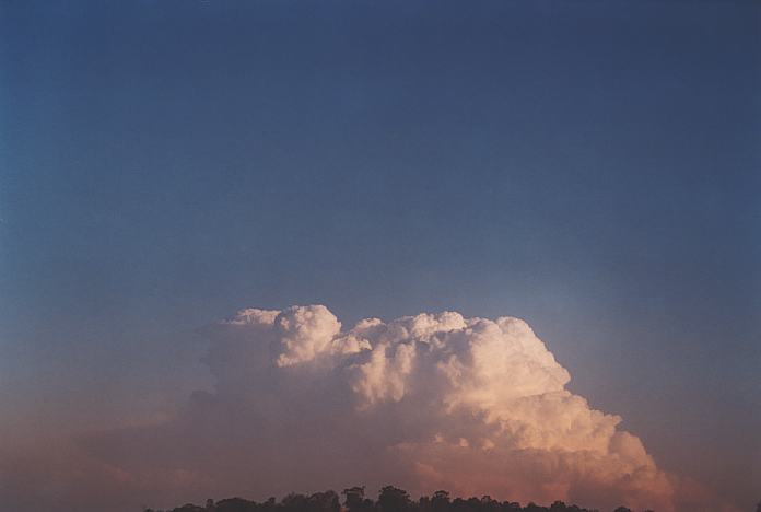 contributions received : near Jerrys Plains, NSW<BR>Photo by Geoff Thurtell   1 September 2001