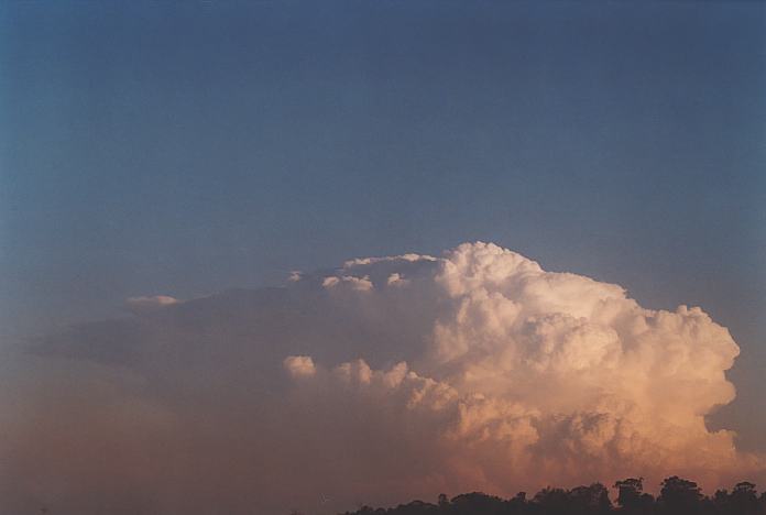 contributions received : near Jerrys Plains, NSW<BR>Photo by Geoff Thurtell   1 September 2001