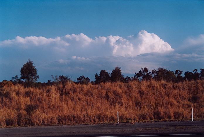 thunderstorm cumulonimbus_incus : Jerrys Plains, NSW   1 September 2001