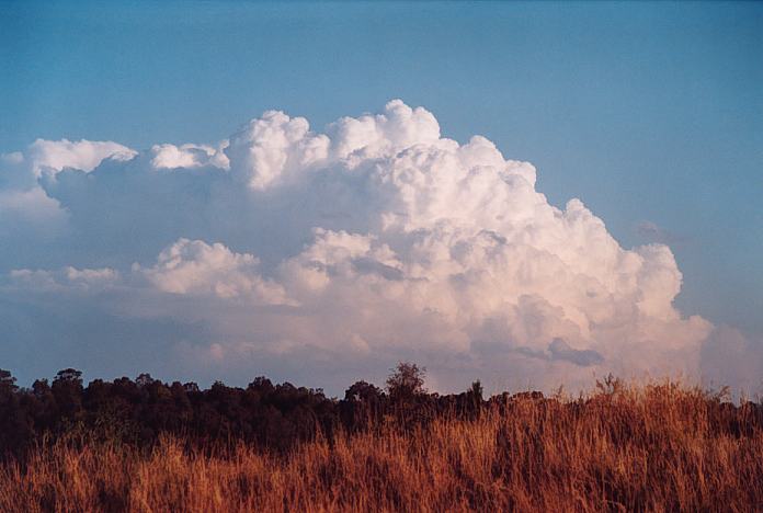 cumulonimbus supercell_thunderstorm : Jerrys Plains, NSW   1 September 2001