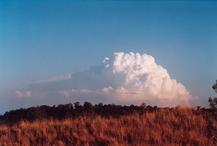 cumulonimbus supercell_thunderstorm : Jerrys Plains, NSW   1 September 2001