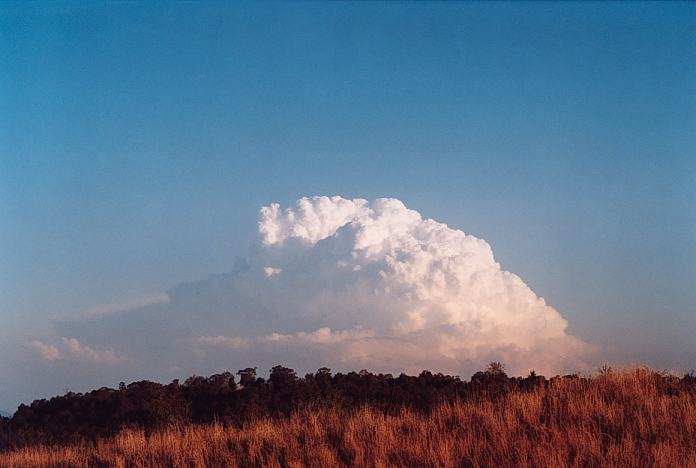 thunderstorm cumulonimbus_incus : Jerrys Plains, NSW   1 September 2001