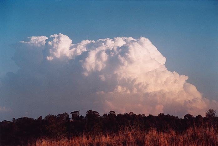 thunderstorm cumulonimbus_incus : Jerrys Plains, NSW   1 September 2001