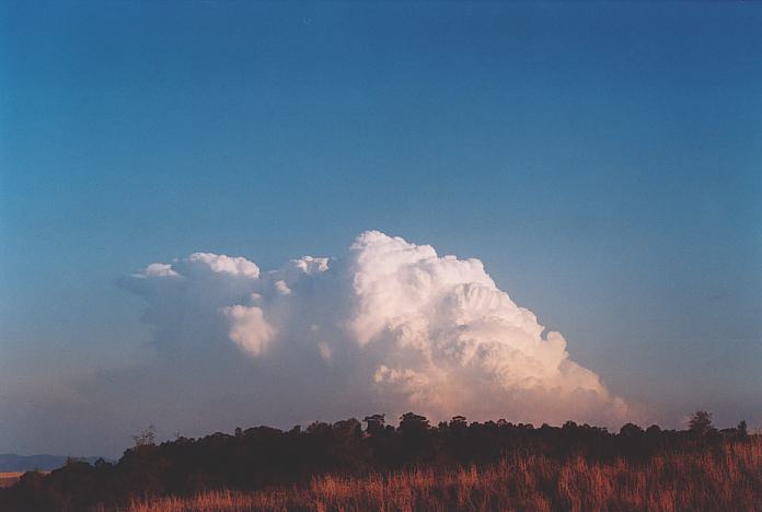 updraft thunderstorm_updrafts : Jerrys Plains, NSW   1 September 2001