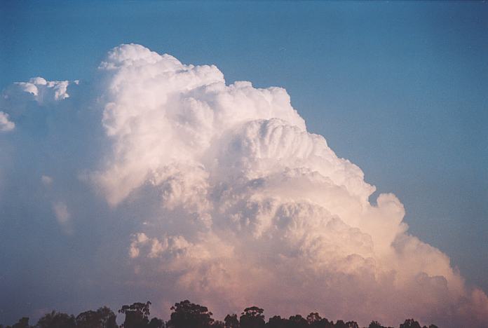 thunderstorm cumulonimbus_incus : Jerrys Plains, NSW   1 September 2001