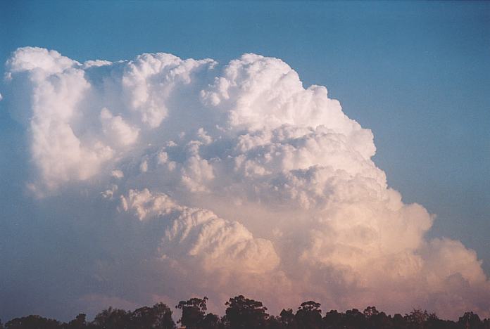 thunderstorm cumulonimbus_incus : Jerrys Plains, NSW   1 September 2001