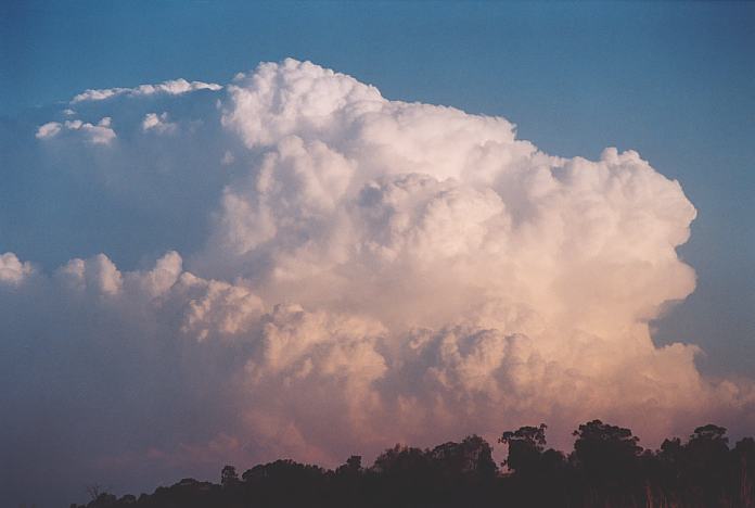 updraft thunderstorm_updrafts : Jerrys Plains, NSW   1 September 2001