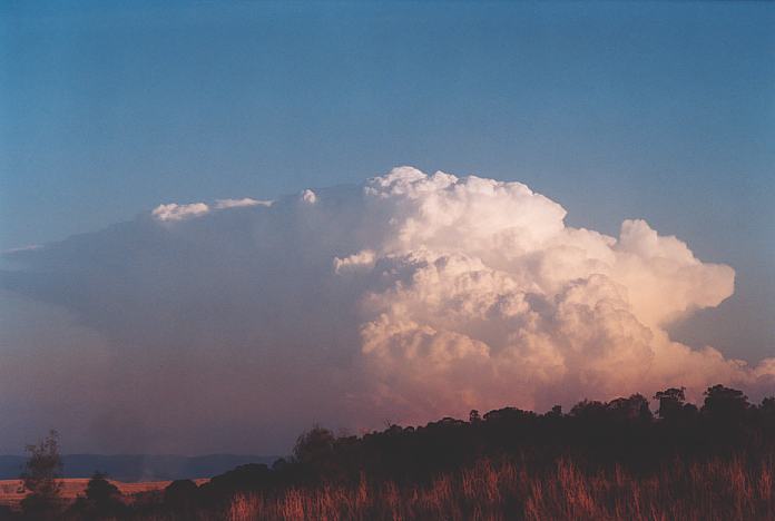 sunset sunset_pictures : Jerrys Plains, NSW   1 September 2001