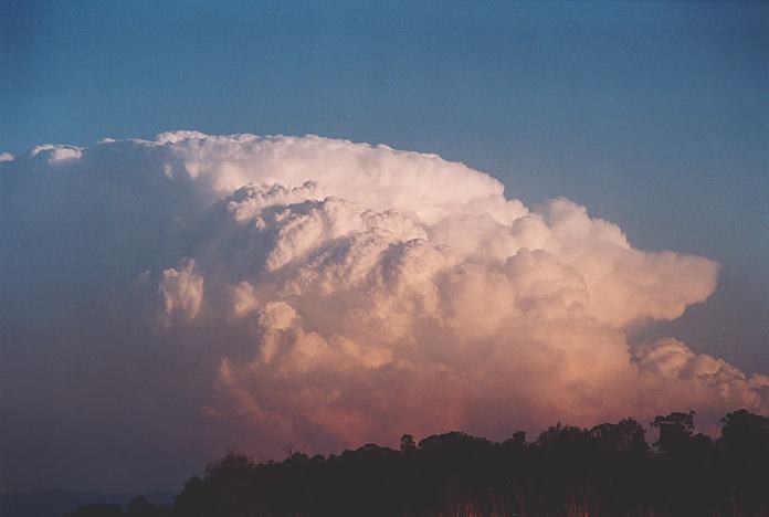 sunset sunset_pictures : Jerrys Plains, NSW   1 September 2001