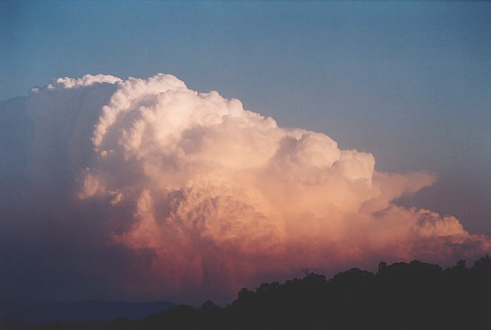 cumulonimbus supercell_thunderstorm : Jerrys Plains, NSW   1 September 2001