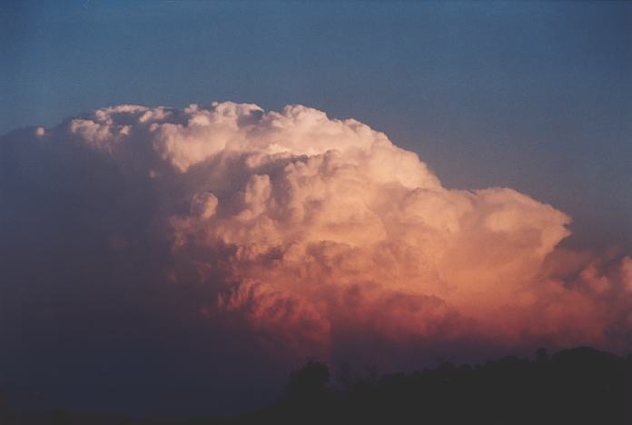 thunderstorm cumulonimbus_incus : Jerrys Plains, NSW   1 September 2001