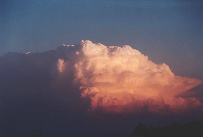 thunderstorm cumulonimbus_incus : Jerrys Plains, NSW   1 September 2001