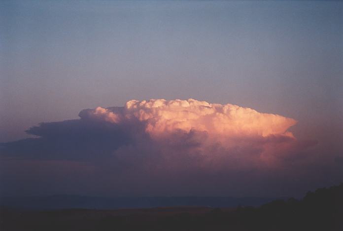 thunderstorm cumulonimbus_incus : Jerrys Plains, NSW   1 September 2001