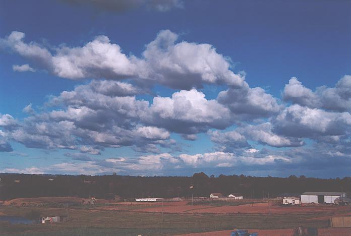 cumulus mediocris : Schofields, NSW   9 September 2001