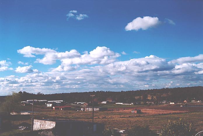 cumulus mediocris : Schofields, NSW   9 September 2001