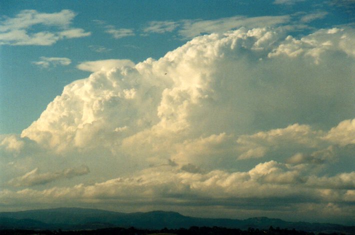 thunderstorm cumulonimbus_incus : McLeans Ridges, NSW   14 September 2001