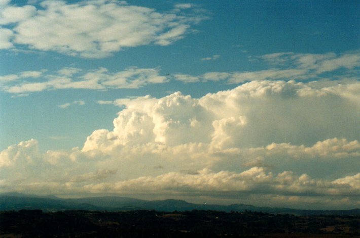 thunderstorm cumulonimbus_incus : McLeans Ridges, NSW   14 September 2001