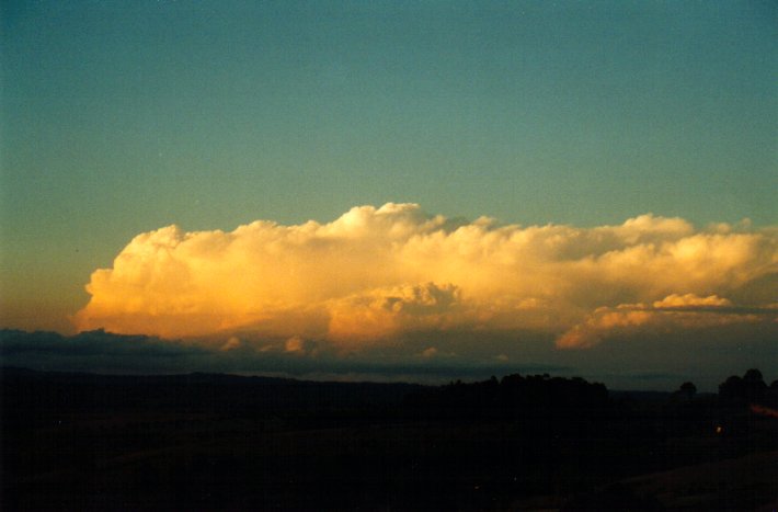 thunderstorm cumulonimbus_incus : McLeans Ridges, NSW   14 September 2001