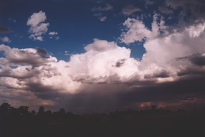 thunderstorm cumulonimbus_calvus : Quakers Hill, NSW   25 September 2001