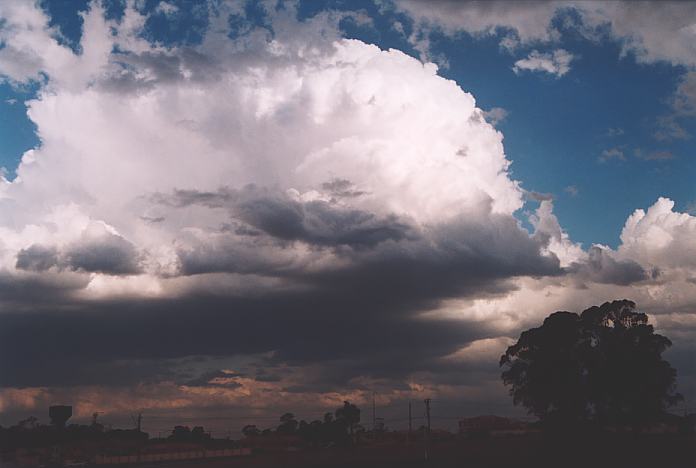 thunderstorm cumulonimbus_calvus : Quakers Hill, NSW   25 September 2001