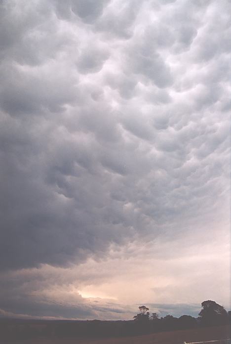 mammatus mammatus_cloud : S of The Oaks, NSW   2 October 2001