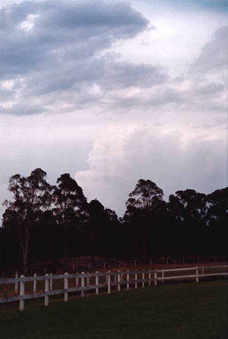 thunderstorm cumulonimbus_incus : The Oaks, NSW   2 October 2001