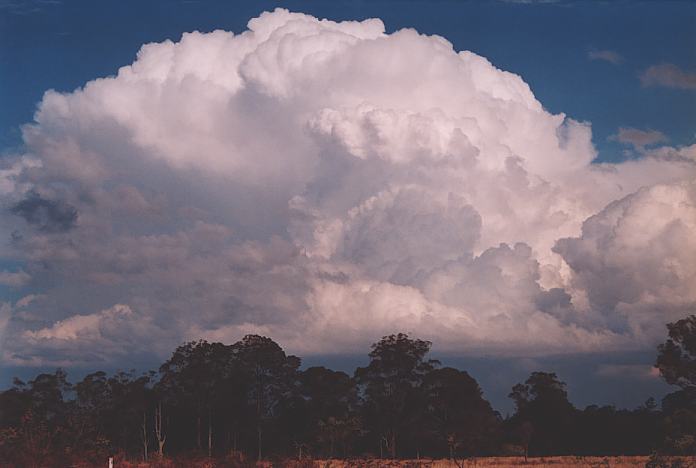 favourites jimmy_deguara : Nabiac, NSW   3 October 2001