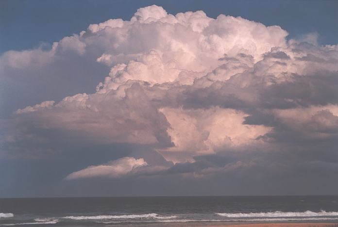 cumulonimbus supercell_thunderstorm : Hallidays Point, NSW   3 October 2001